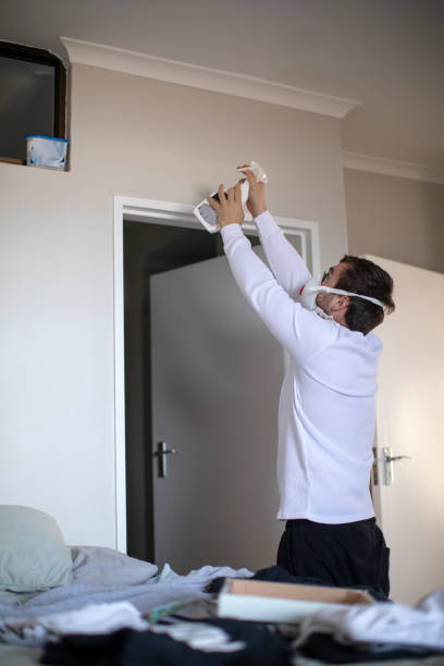 Best Emergency Mold Remediation  in Rice, MN