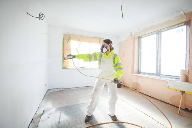  Rice, MN Mold Removal Pros
