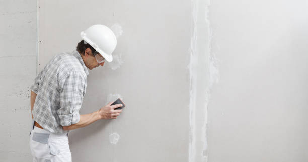 Mold Odor Removal Services in Rice, MN