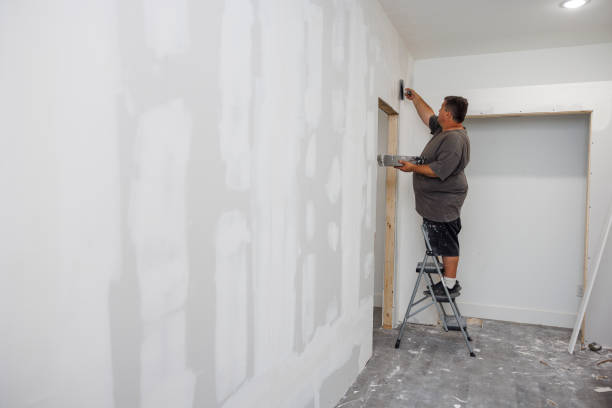 Best Forensic Mold Investigation  in Rice, MN