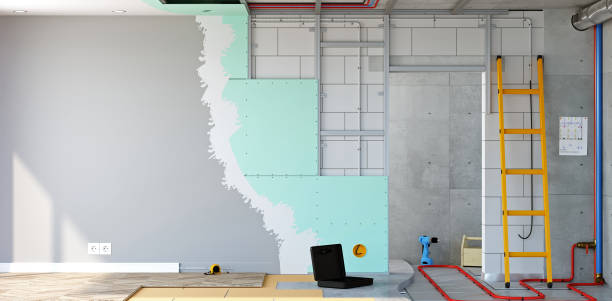 Best Basement Mold Removal  in Rice, MN