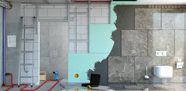 Best Black Mold Removal  in Rice, MN