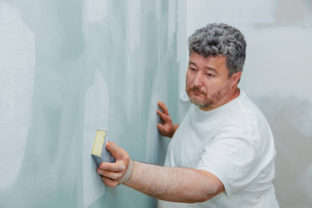 Best Mold Remediation for Healthcare Facilities  in Rice, MN
