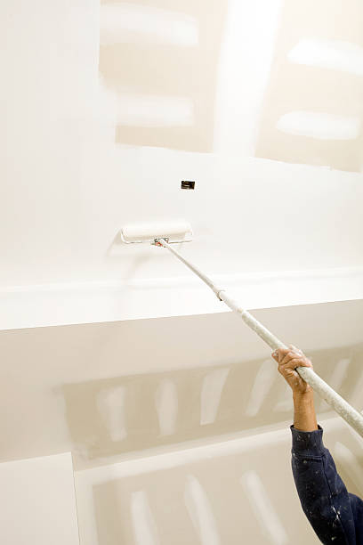 Best Biohazard Mold Removal  in Rice, MN