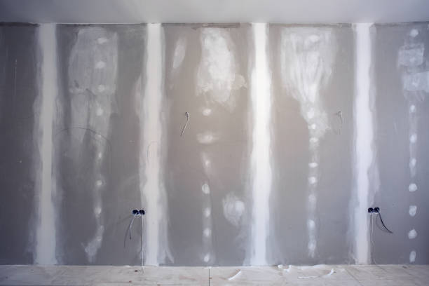 Professional Mold Removal in Rice, MN